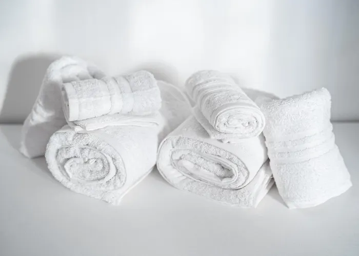 The Siva - Via Volta, 165 Appartement